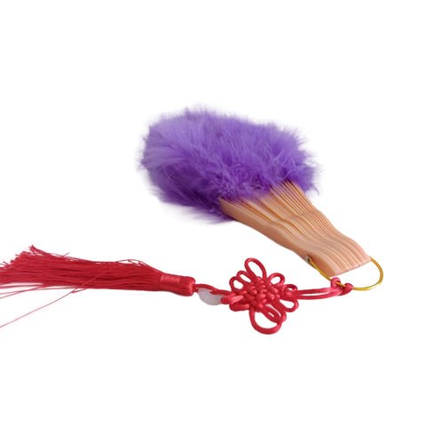 Martial Arts Kung Fu Purple Feather Fan